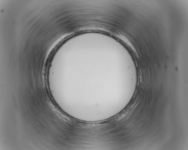 X0000066081068200603241426