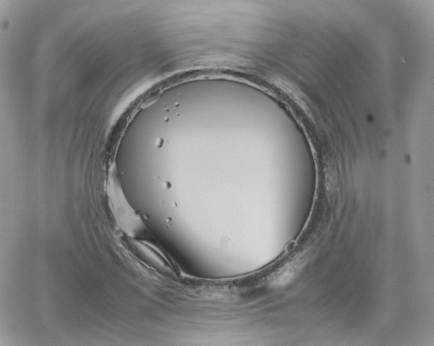 X0000066081069200603241426