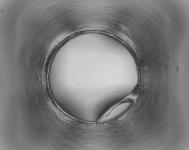 X0000066081072200603241426