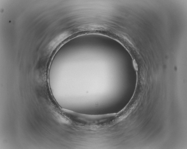 X0000066081073200603241426