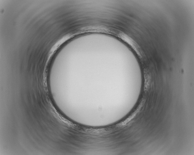 X0000066081074200603241426