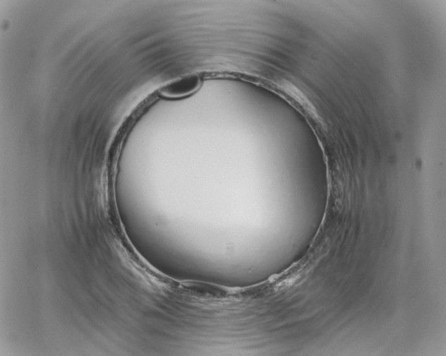 X0000066081076200603241426