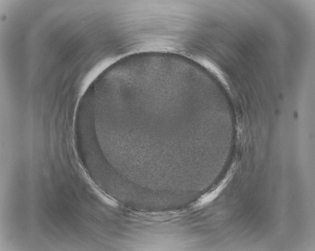 X0000066081077200603241426