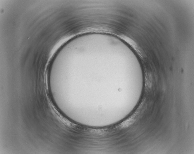 X0000066081078200603241426