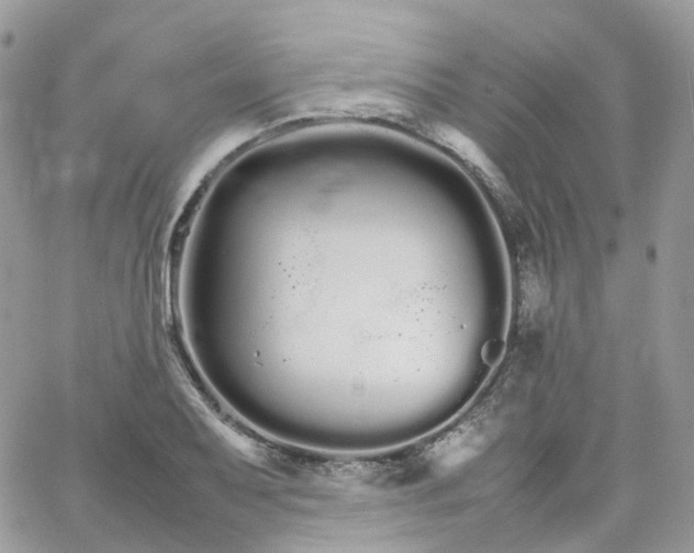 X0000066081079200603241426