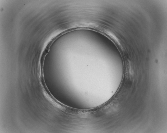 X0000066081080200603241426