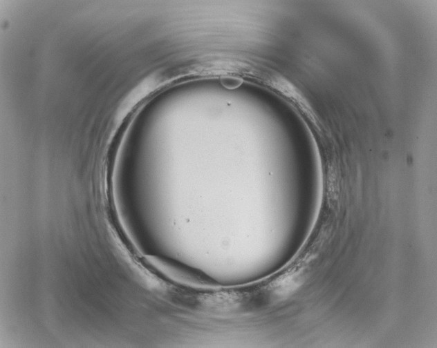 X0000066081083200603241426