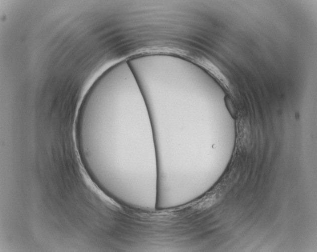 X0000066081084200603241426