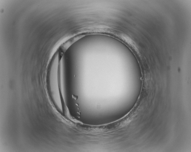 X0000066081085200603241426