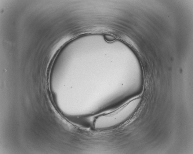 X0000066081087200603241426