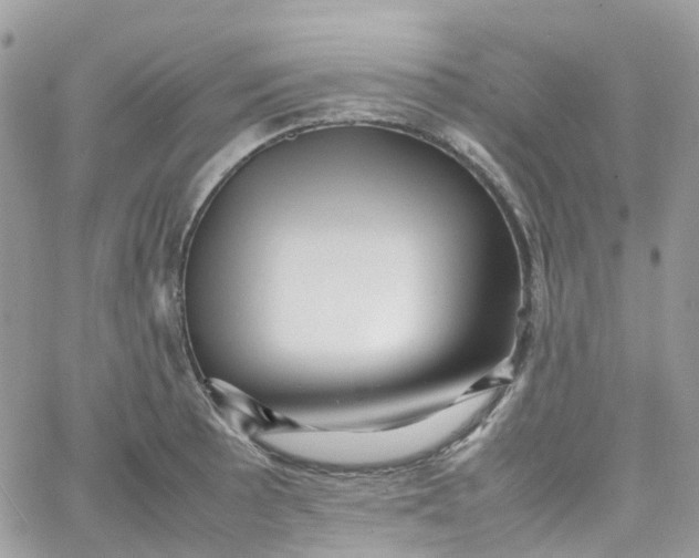 X0000066081089200603241426