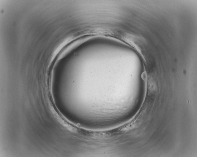 X0000066081091200603241426