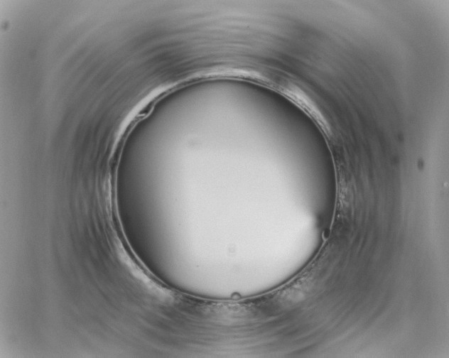 X0000066081092200603241426