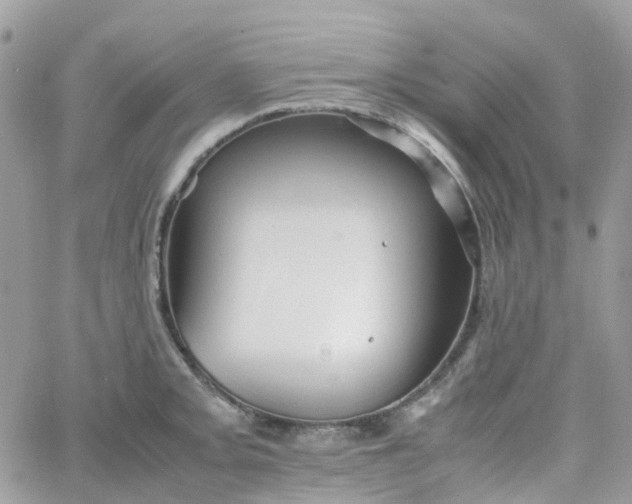 X0000066081093200603241426