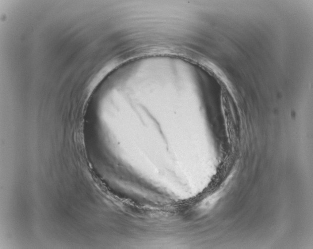 X0000066081097200603241425