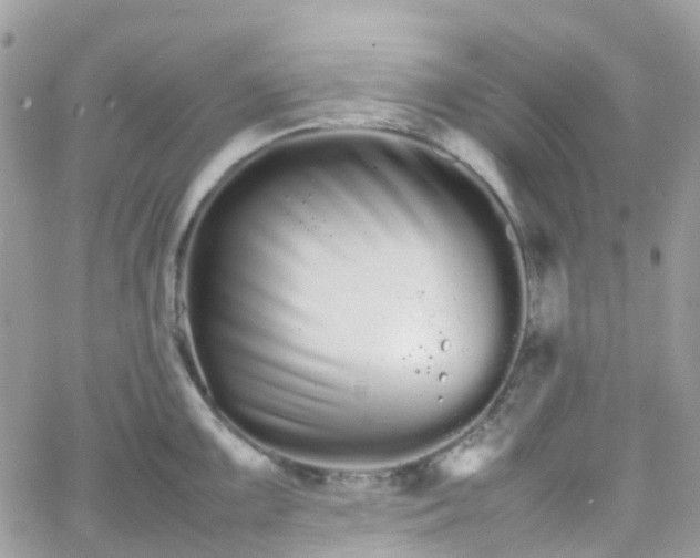 X0000066081099200603241425