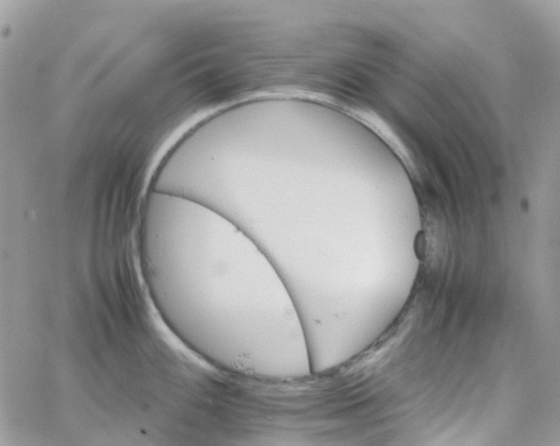 X0000066081100200603241425