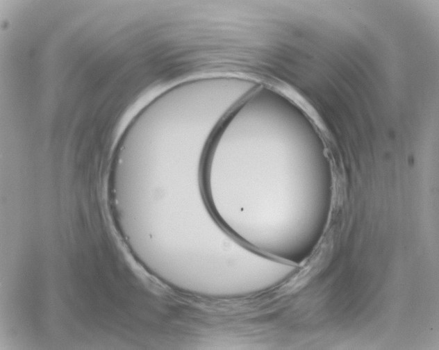 X0000066081101200603241425