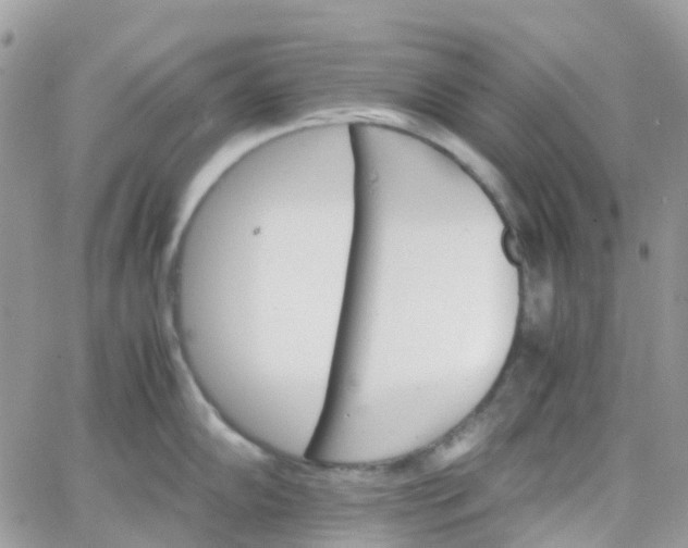 X0000066081102200603241425