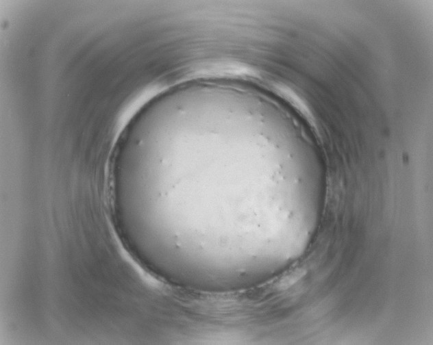 X0000066081103200603241425