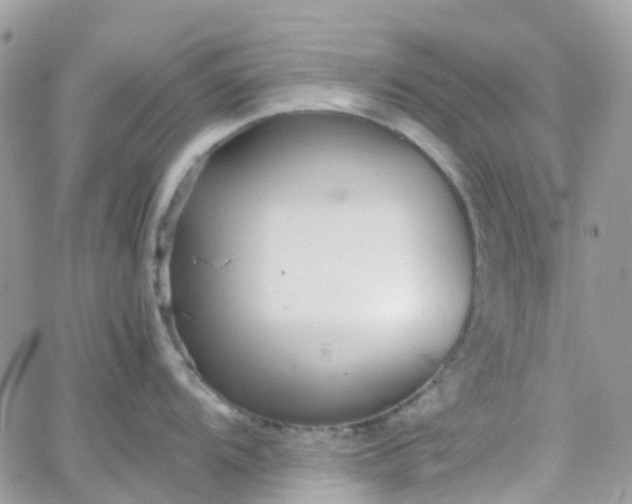 X0000066081104200603241425