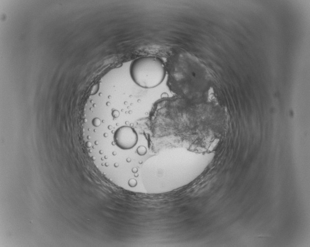 X0000066081105200603241425