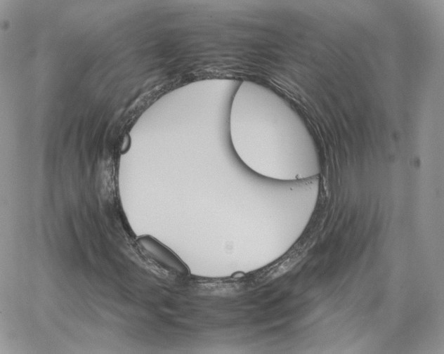 X0000066081107200603241425