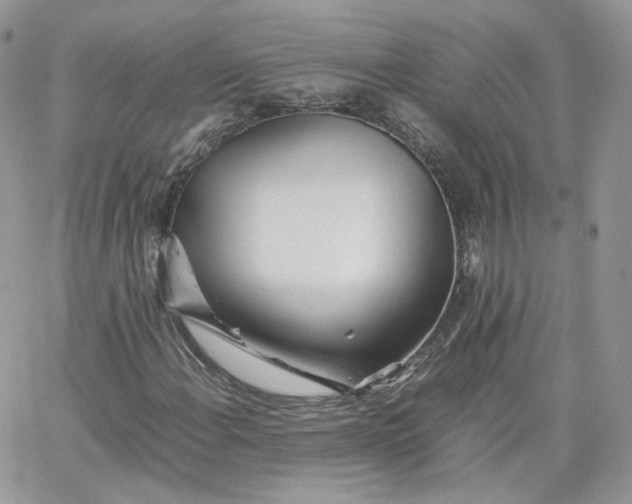 X0000066081108200603241425