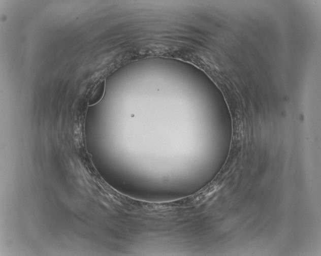 X0000066081109200603241425