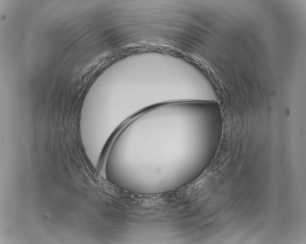 X0000066081110200603241425