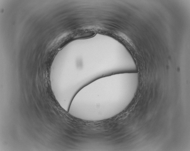 X0000066081111200603241425