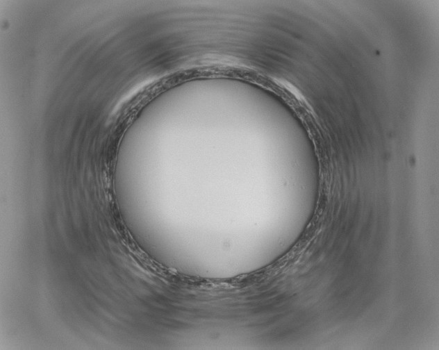 X0000066081112200603241425