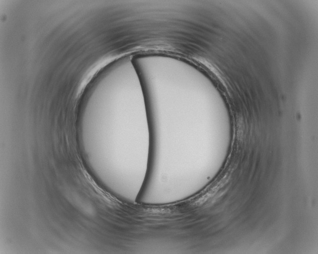 X0000066081115200603241425