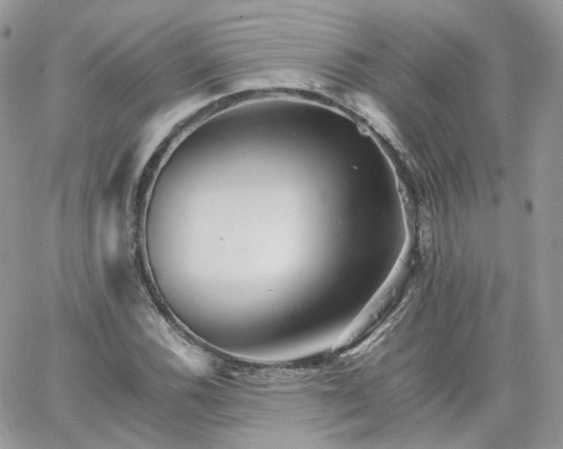 X0000066081116200603241425