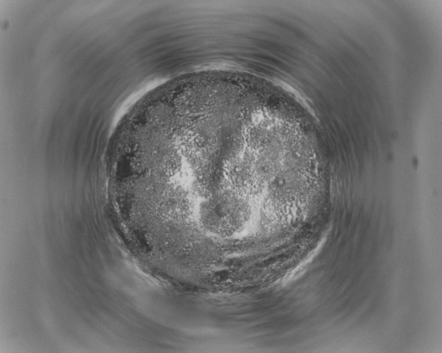 X0000066081117200603241425