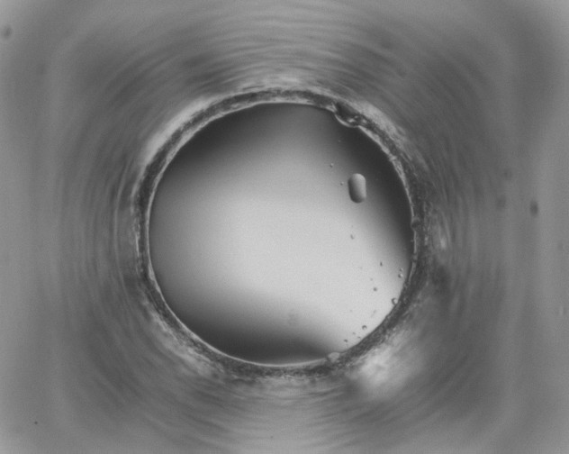 X0000066081118200603241425