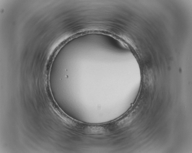 X0000066081119200603241425