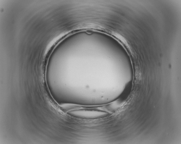 X0000066081120200603241425