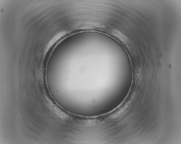 X0000066081122200603241425