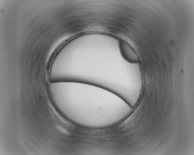 X0000066081123200603241425