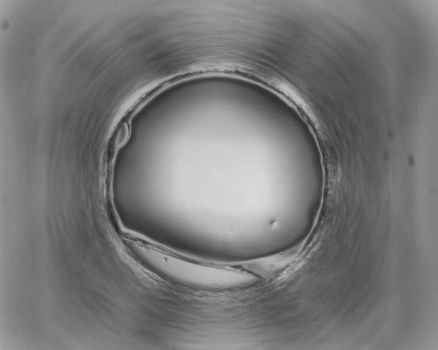 X0000066081124200603241425