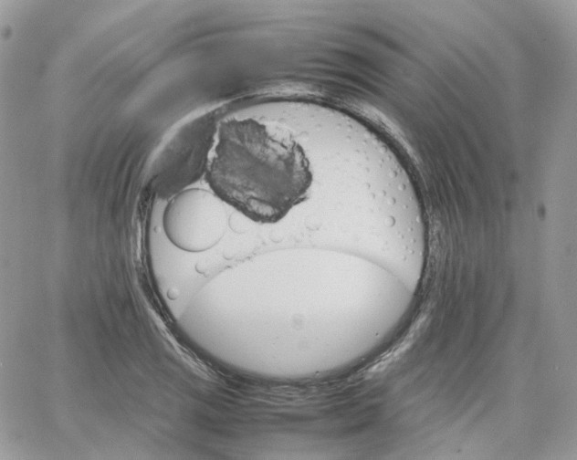 X0000066081125200603241425