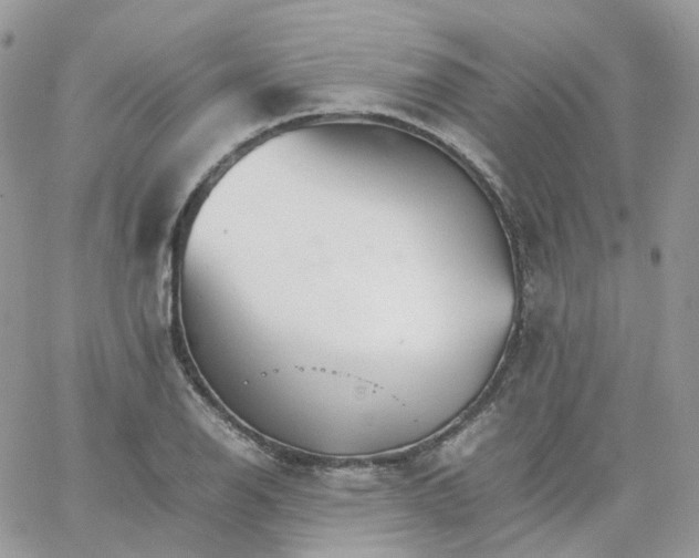 X0000066081126200603241425