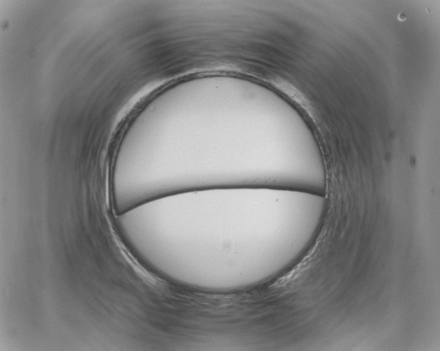 X0000066081127200603241425