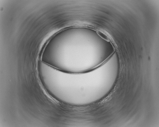 X0000066081128200603241425