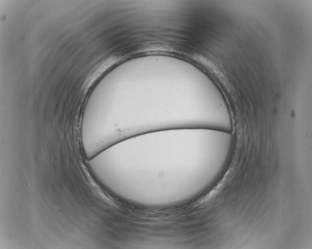 X0000066081129200603241425