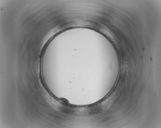 X0000066081130200603241425