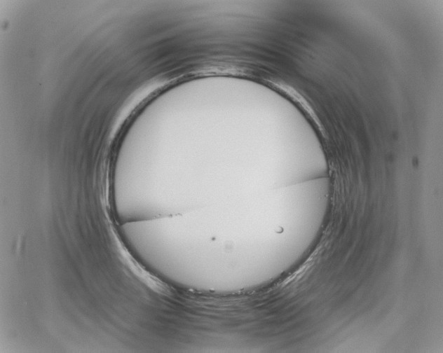 X0000066081131200603241425