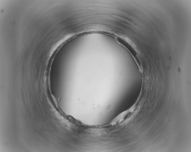 X0000066081134200603241425