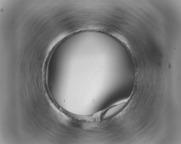 X0000066081135200603241425